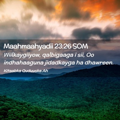 Picture 02 - Maahmaahyadii 23:26 SOM - Wiilkaygiiyow, qalbigaaga i sii, Oo indhahaaguna - Bible Verse Picture