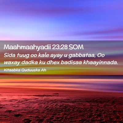 Picture 02 - Maahmaahyadii 23:28 SOM - Sida tuug oo kale ayay u gabbataa, Oo waxay dadka - Bible Verse Picture