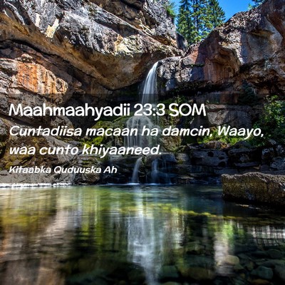 Picture 02 - Maahmaahyadii 23:3 SOM - Cuntadiisa macaan ha damcin, Waayo, waa cunto - Bible Verse Picture