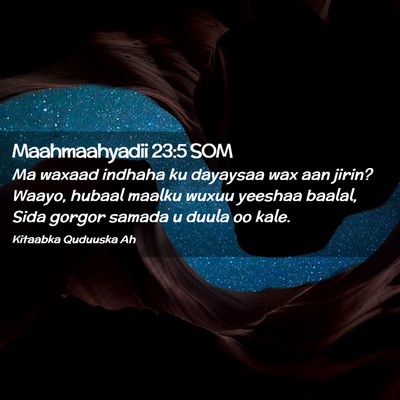 Picture 02 - Maahmaahyadii 23:5 SOM - Ma waxaad indhaha ku dayaysaa wax aan jirin? - Bible Verse Picture