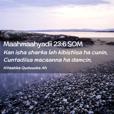 Picture 02 - Maahmaahyadii 23:6 SOM - Kan isha sharka leh kibistiisa ha cunin, - Bible Verse Picture