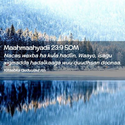 Picture 02 - Maahmaahyadii 23:9 SOM - Nacas waxba ha kula hadlin, Waayo, isagu xigmadda - Bible Verse Picture