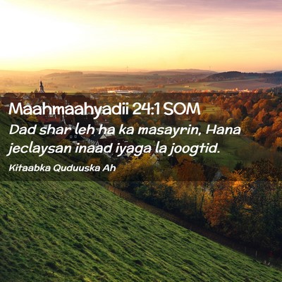Picture 02 - Maahmaahyadii 24:1 SOM - Dad shar leh ha ka masayrin, Hana jeclaysan inaad - Bible Verse Picture