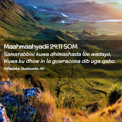 Picture 02 - Maahmaahyadii 24:11 SOM - Samatabbixi kuwa dhimashada loo wadayo, Kuwa ku - Bible Verse Picture