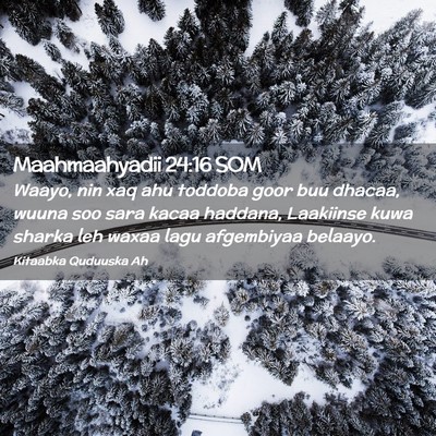Picture 02 - Maahmaahyadii 24:16 SOM - Waayo, nin xaq ahu toddoba goor buu dhacaa, wuuna - Bible Verse Picture