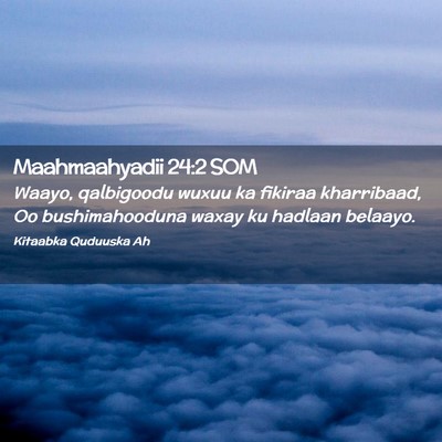 Picture 02 - Maahmaahyadii 24:2 SOM - Waayo, qalbigoodu wuxuu ka fikiraa kharribaad, Oo - Bible Verse Picture