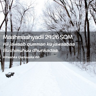 Picture 02 - Maahmaahyadii 24:26 SOM - Kii jawaab qumman ku jawaabaa Bushimuhuu - Bible Verse Picture