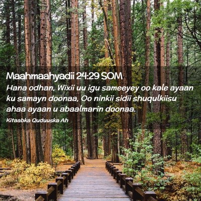 Picture 02 - Maahmaahyadii 24:29 SOM - Hana odhan, Wixii uu igu sameeyey oo kale ayaan - Bible Verse Picture