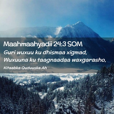 Picture 02 - Maahmaahyadii 24:3 SOM - Guri wuxuu ku dhismaa xigmad, Wuxuuna ku - Bible Verse Picture