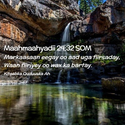 Picture 02 - Maahmaahyadii 24:32 SOM - Markaasaan eegay oo aad uga fiirsaday, Waan - Bible Verse Picture