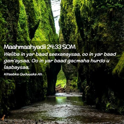 Picture 02 - Maahmaahyadii 24:33 SOM - Weliba in yar baad seexanaysaa, oo in yar baad - Bible Verse Picture