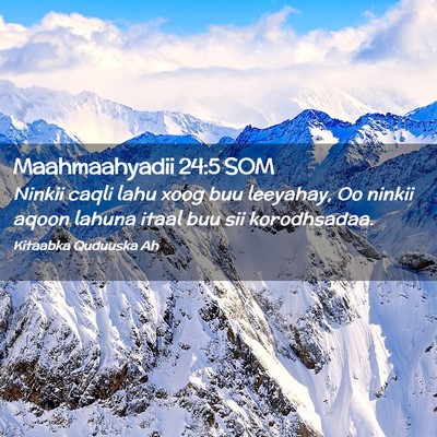 Picture 02 - Maahmaahyadii 24:5 SOM - Ninkii caqli lahu xoog buu leeyahay, Oo ninkii - Bible Verse Picture