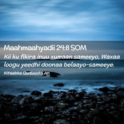 Picture 02 - Maahmaahyadii 24:8 SOM - Kii ku fikira inuu xumaan sameeyo, Waxaa loogu - Bible Verse Picture
