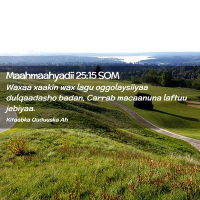 Picture 02 - Maahmaahyadii 25:15 SOM - Waxaa xaakin wax lagu oggolaysiiyaa dulqaadasho - Bible Verse Picture