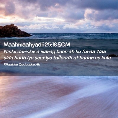 Picture 02 - Maahmaahyadii 25:18 SOM - Ninkii deriskiisa marag been ah ku furaa Waa sida - Bible Verse Picture