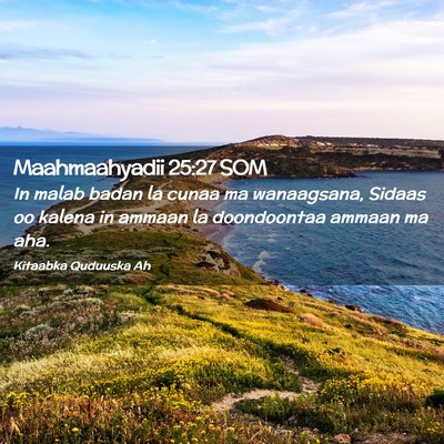 Picture 02 - Maahmaahyadii 25:27 SOM - In malab badan la cunaa ma wanaagsana, Sidaas oo - Bible Verse Picture
