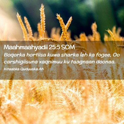 Picture 02 - Maahmaahyadii 25:5 SOM - Boqorka hortiisa kuwa sharka leh ka fogee, Oo - Bible Verse Picture