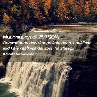 Picture 02 - Maahmaahyadii 25:9 SOM - Dacwadaada deriskaaga kala dood, Laakiinse mid - Bible Verse Picture