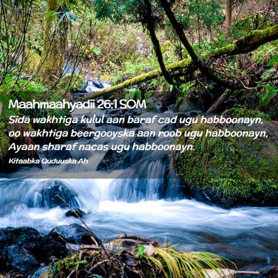 Picture 02 - Maahmaahyadii 26:1 SOM - Sida wakhtiga kulul aan baraf cad ugu habboonayn, - Bible Verse Picture