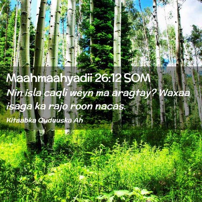Picture 02 - Maahmaahyadii 26:12 SOM - Nin isla caqli weyn ma aragtay? Waxaa isaga ka - Bible Verse Picture