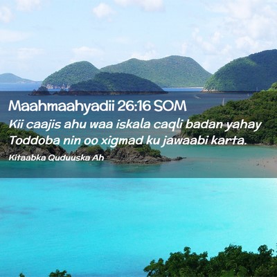Picture 02 - Maahmaahyadii 26:16 SOM - Kii caajis ahu waa iskala caqli badan yahay - Bible Verse Picture