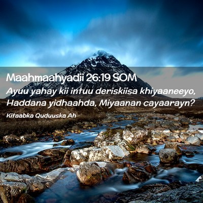 Picture 02 - Maahmaahyadii 26:19 SOM - Ayuu yahay kii intuu deriskiisa khiyaaneeyo, - Bible Verse Picture