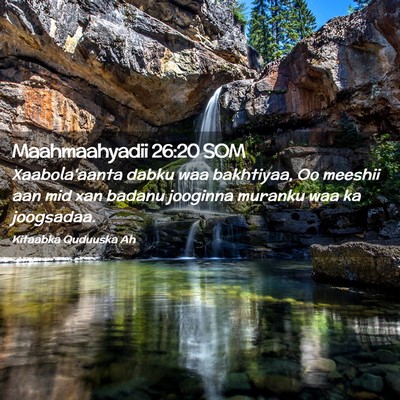 Picture 02 - Maahmaahyadii 26:20 SOM - Xaabola'aanta dabku waa bakhtiyaa, Oo meeshii aan - Bible Verse Picture