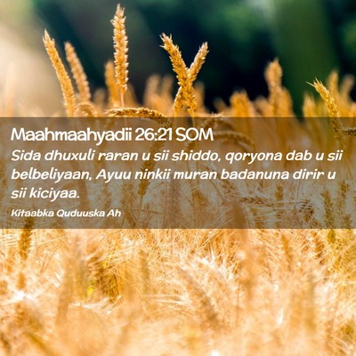 Picture 02 - Maahmaahyadii 26:21 SOM - Sida dhuxuli raran u sii shiddo, qoryona dab u - Bible Verse Picture