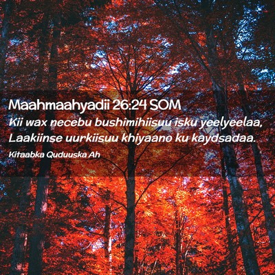 Picture 02 - Maahmaahyadii 26:24 SOM - Kii wax necebu bushimihiisuu isku yeelyeelaa, - Bible Verse Picture