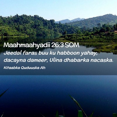 Picture 02 - Maahmaahyadii 26:3 SOM - Jeedal faras buu ku habboon yahay, dacayna - Bible Verse Picture