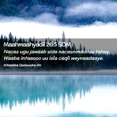 Picture 02 - Maahmaahyadii 26:5 SOM - Nacas ugu jawaab sida nacasnimadiisu tahay, Waaba - Bible Verse Picture