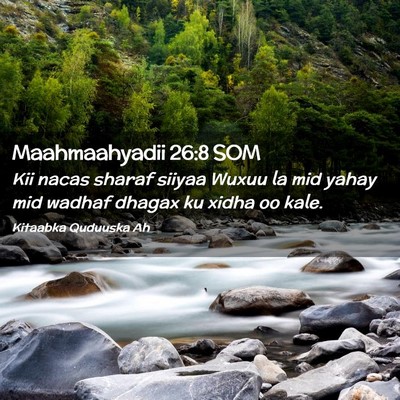 Picture 02 - Maahmaahyadii 26:8 SOM - Kii nacas sharaf siiyaa Wuxuu la mid yahay mid - Bible Verse Picture
