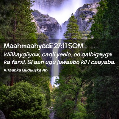 Picture 02 - Maahmaahyadii 27:11 SOM - Wiilkaygiiyow, caqli yeelo, oo qalbigayga ka - Bible Verse Picture