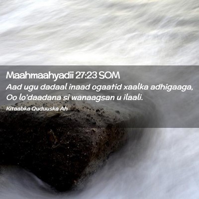 Picture 02 - Maahmaahyadii 27:23 SOM - Aad ugu dadaal inaad ogaatid xaalka adhigaaga, Oo - Bible Verse Picture