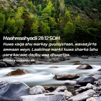Picture 02 - Maahmaahyadii 28:12 SOM - Kuwa xaqa ahu markay guulaystaan, waxaa jirta - Bible Verse Picture