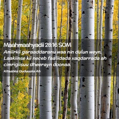 Picture 02 - Maahmaahyadii 28:16 SOM - Amiirkii garaaddaranu waa nin dulun weyn, - Bible Verse Picture