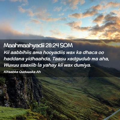 Picture 02 - Maahmaahyadii 28:24 SOM - Kii aabbihiis ama hooyadiis wax ka dhaca oo - Bible Verse Picture
