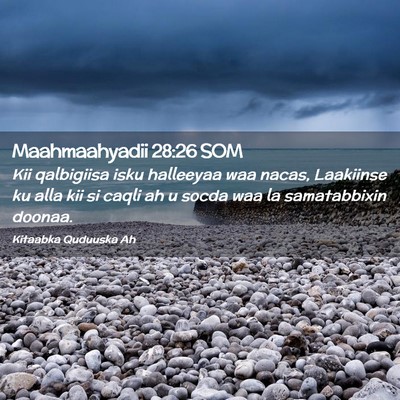 Picture 02 - Maahmaahyadii 28:26 SOM - Kii qalbigiisa isku halleeyaa waa nacas, - Bible Verse Picture