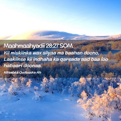 Picture 02 - Maahmaahyadii 28:27 SOM - Kii miskiinka wax siiyaa ma baahan doono, - Bible Verse Picture