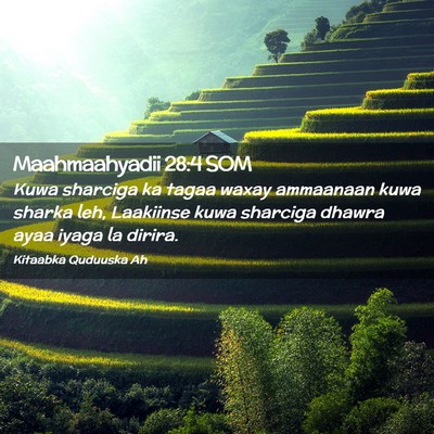 Picture 02 - Maahmaahyadii 28:4 SOM - Kuwa sharciga ka tagaa waxay ammaanaan kuwa - Bible Verse Picture