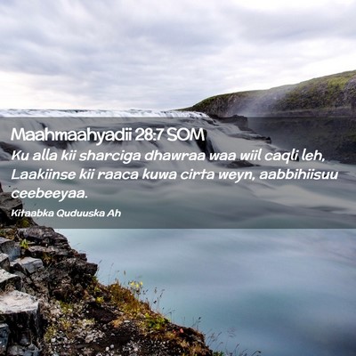 Picture 02 - Maahmaahyadii 28:7 SOM - Ku alla kii sharciga dhawraa waa wiil caqli leh, - Bible Verse Picture