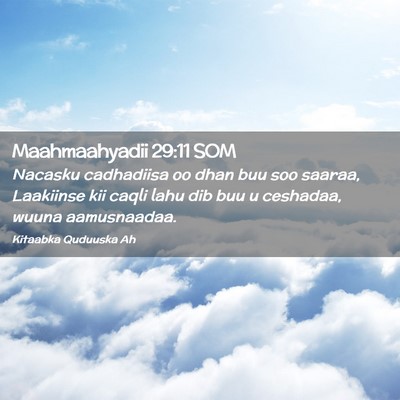 Picture 02 - Maahmaahyadii 29:11 SOM - Nacasku cadhadiisa oo dhan buu soo saaraa, - Bible Verse Picture