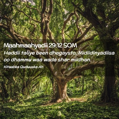 Picture 02 - Maahmaahyadii 29:12 SOM - Haddii taliye been dhegaysto, Midiidinyadiisa oo - Bible Verse Picture