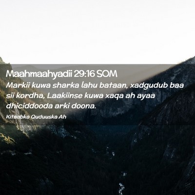 Picture 02 - Maahmaahyadii 29:16 SOM - Markii kuwa sharka lahu bataan, xadgudub baa sii - Bible Verse Picture