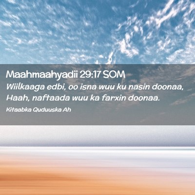 Picture 02 - Maahmaahyadii 29:17 SOM - Wiilkaaga edbi, oo isna wuu ku nasin doonaa, - Bible Verse Picture
