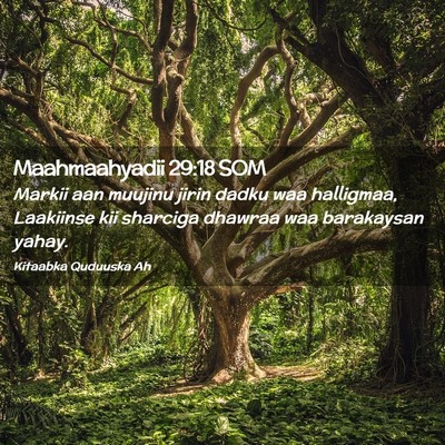 Picture 02 - Maahmaahyadii 29:18 SOM - Markii aan muujinu jirin dadku waa halligmaa, - Bible Verse Picture