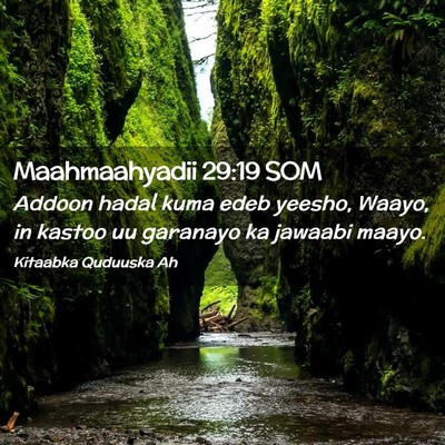 Picture 02 - Maahmaahyadii 29:19 SOM - Addoon hadal kuma edeb yeesho, Waayo, in kastoo - Bible Verse Picture