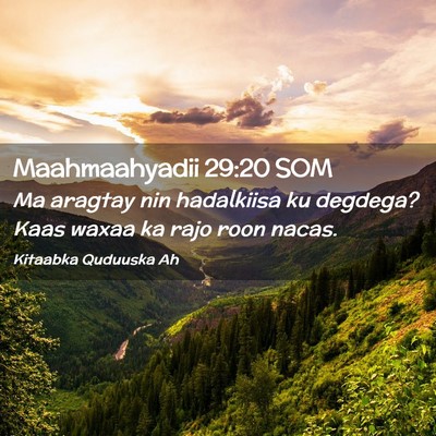 Picture 02 - Maahmaahyadii 29:20 SOM - Ma aragtay nin hadalkiisa ku degdega? Kaas waxaa - Bible Verse Picture