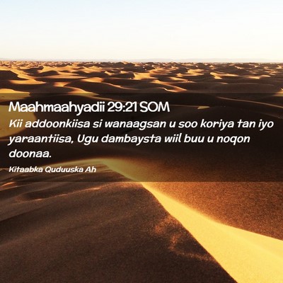 Picture 02 - Maahmaahyadii 29:21 SOM - Kii addoonkiisa si wanaagsan u soo koriya tan iyo - Bible Verse Picture