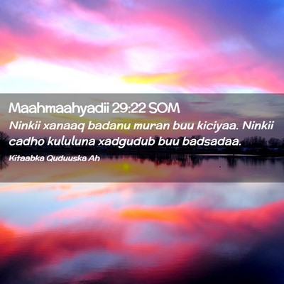 Picture 02 - Maahmaahyadii 29:22 SOM - Ninkii xanaaq badanu muran buu kiciyaa. Ninkii - Bible Verse Picture